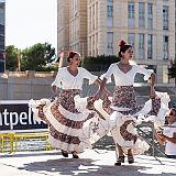 Antigone des Associations 2014