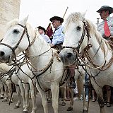 SteSara 20190524_076 CPR.jpg